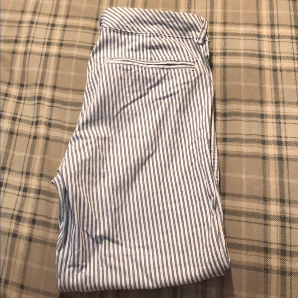 Dressy pants